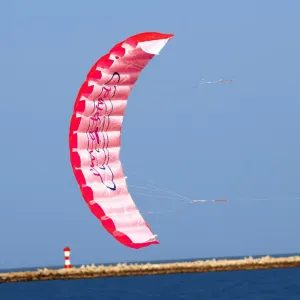 1.4cm Dual Line Parafoil Kite With Flying Tools Power Braid Sailing Kitesurf Sports Beach Kite Outdoor Fun Flying Toys 3 Color