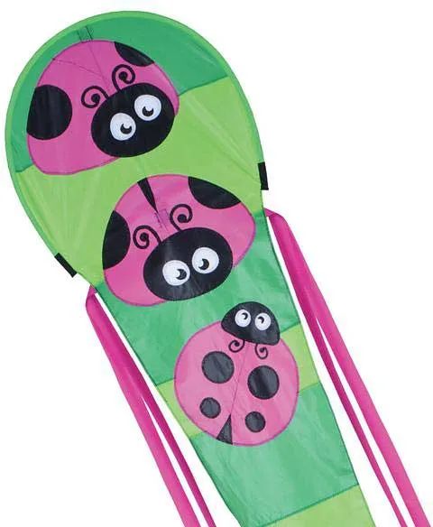 30 ft. Dragon Kite - Ladybugs