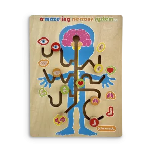 A-maze-ing Nervous System