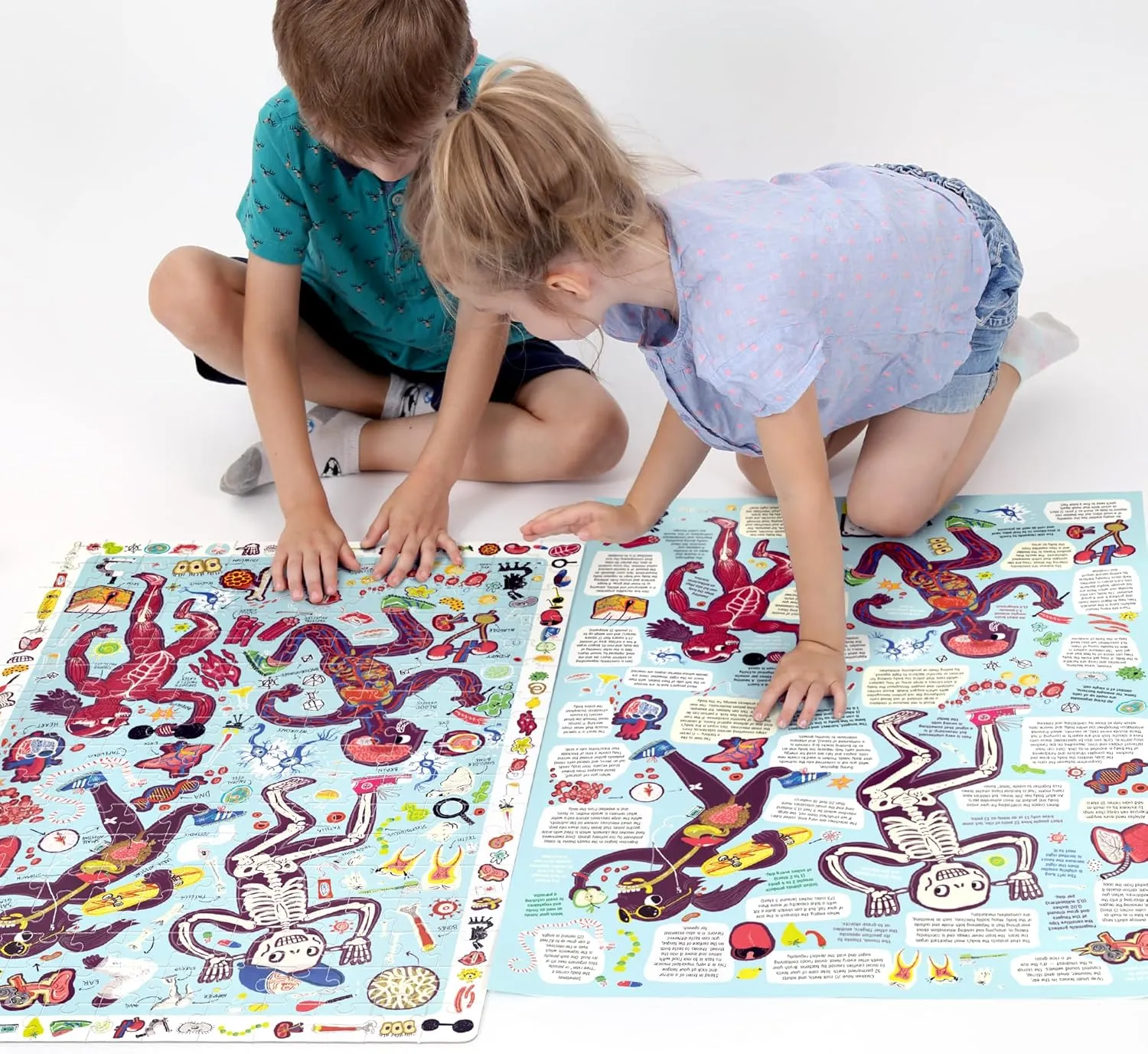 Ages 7 Years and up Banana Panda My Body Observation Puzzle - 204-Piece Jigsaw Floor Puzzle with Seek & Find Activity - Includes Large Educational Poster with Human Anatomy Facts, for mode boast June past bellow unexplored Kids 