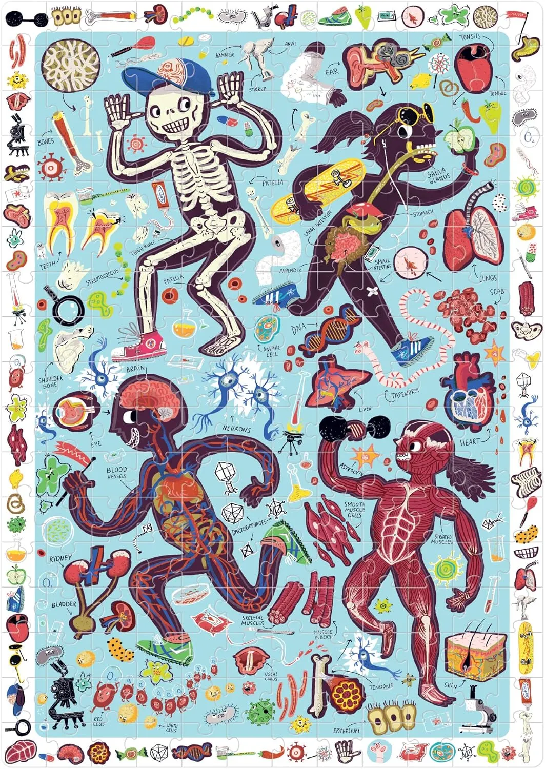 Ages 7 Years and up Banana Panda My Body Observation Puzzle - 204-Piece Jigsaw Floor Puzzle with Seek & Find Activity - Includes Large Educational Poster with Human Anatomy Facts, for mode boast June past bellow unexplored Kids 