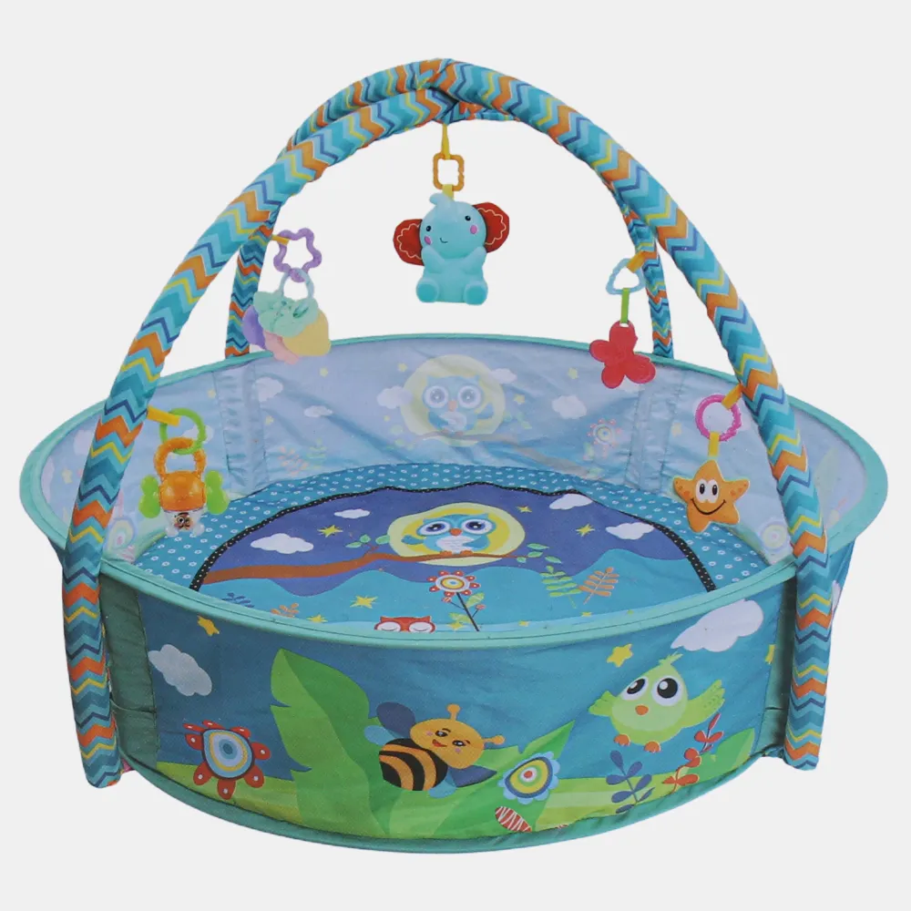 Baby Play Gym Mat