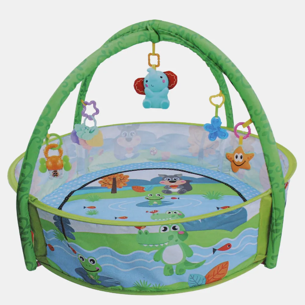 Baby Play Gym Mat