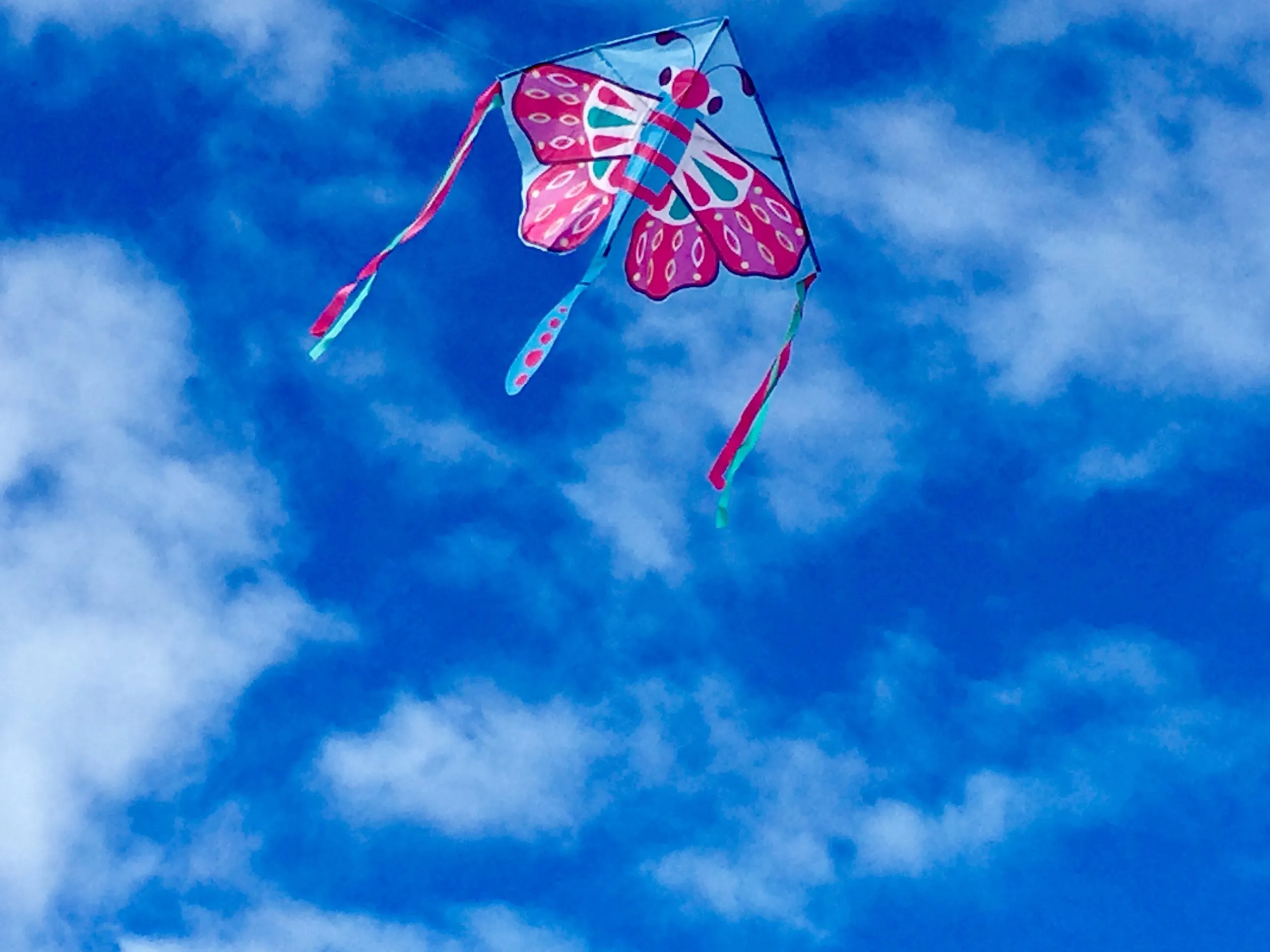 BEAUTIFUL BUTTERFLY KITE