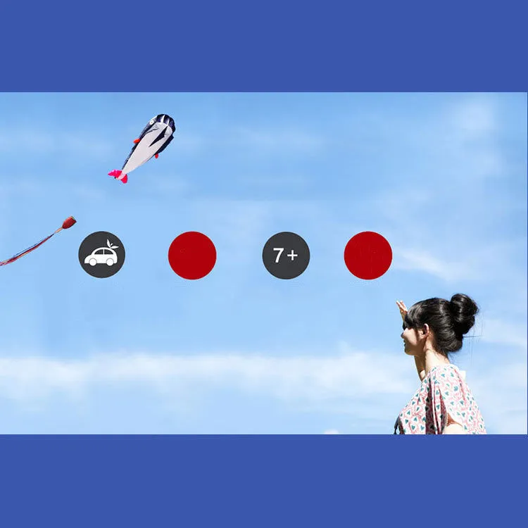 Cartoon Style, Children's Large Soft Kite