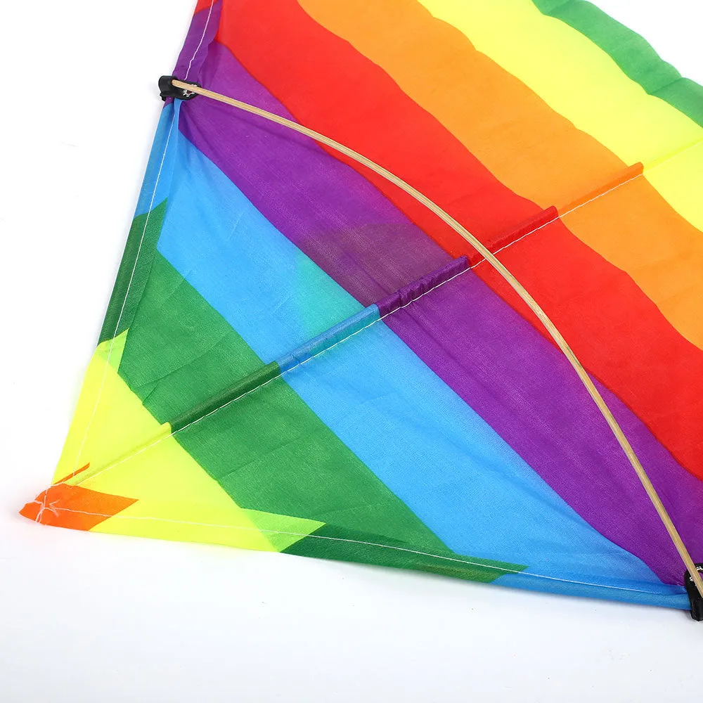 Colorful Stiff-winged Kite