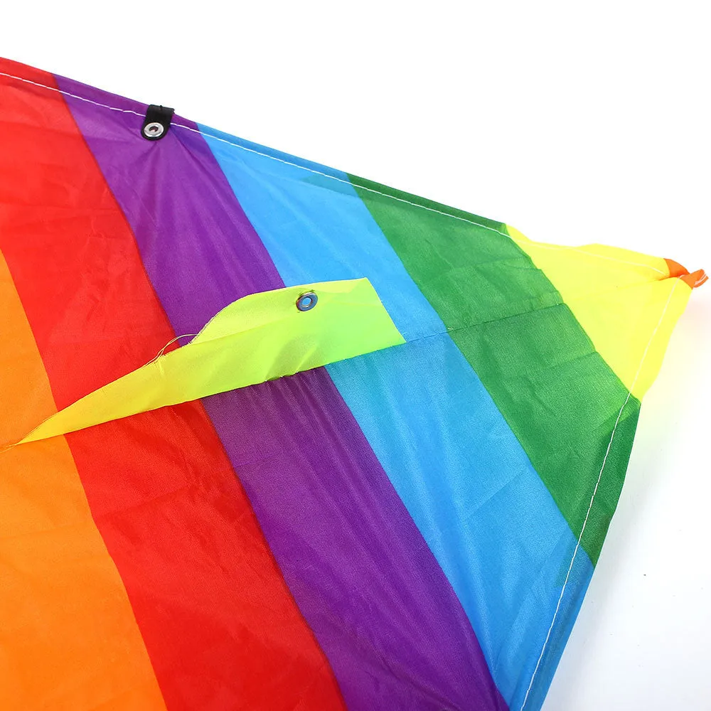 Colorful Stiff-winged Kite