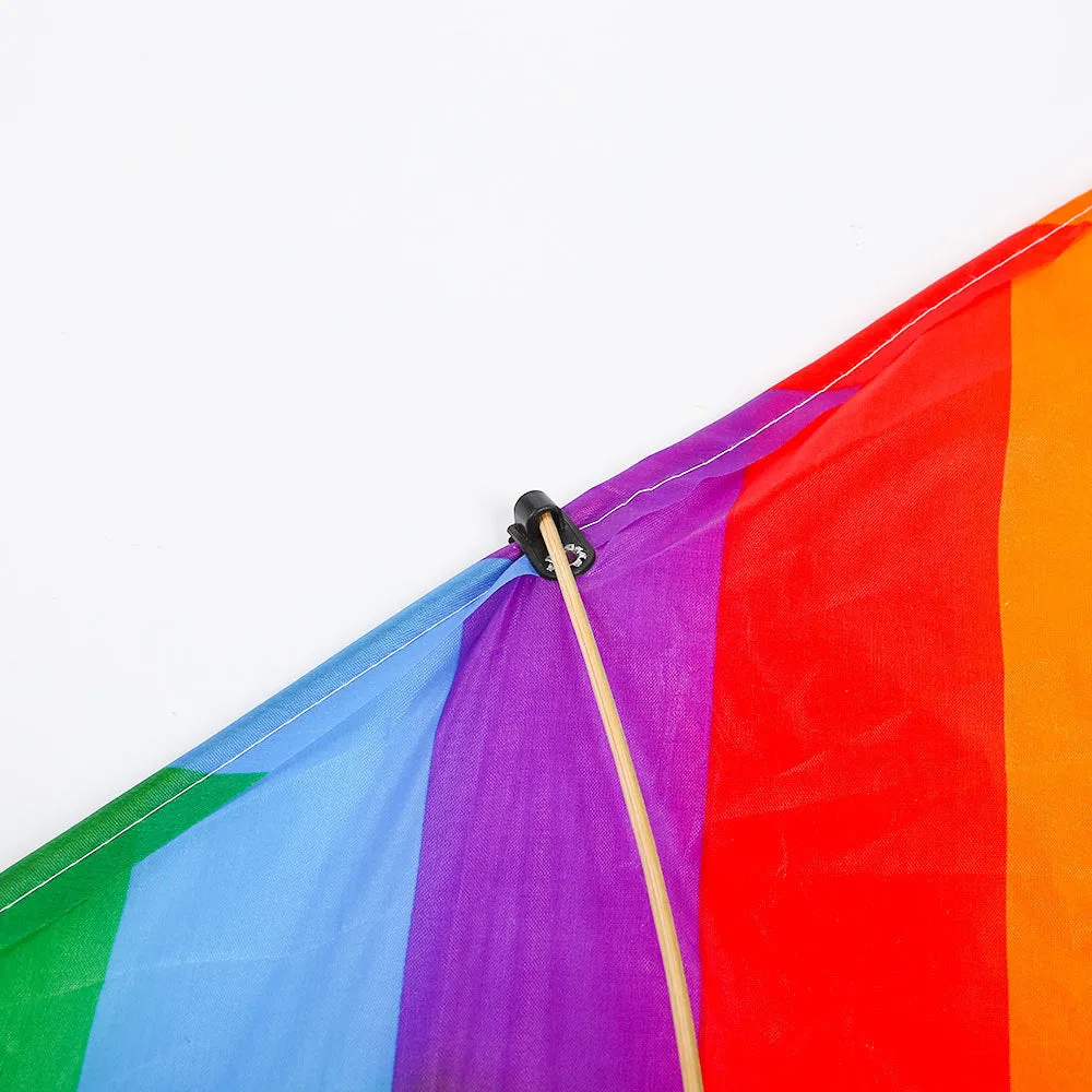 Colorful Stiff-winged Kite