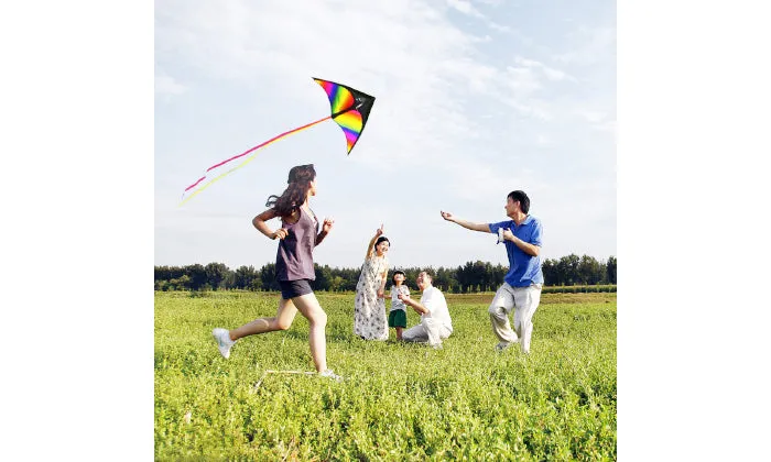 Colourful Delta Kite