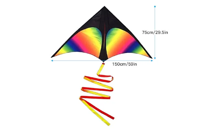 Colourful Delta Kite