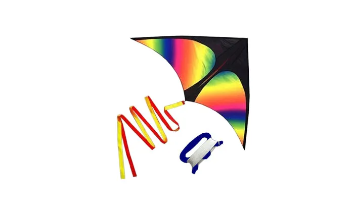 Colourful Delta Kite