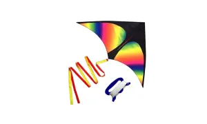 Colourful Delta Kite
