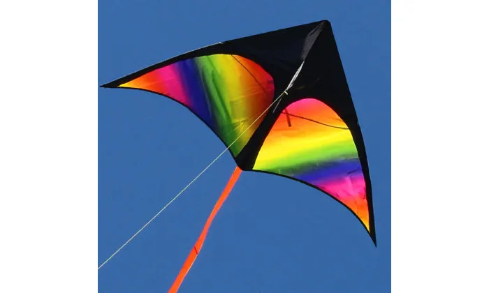 Colourful Delta Kite