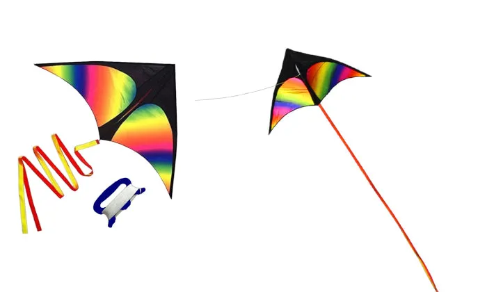 Colourful Delta Kite