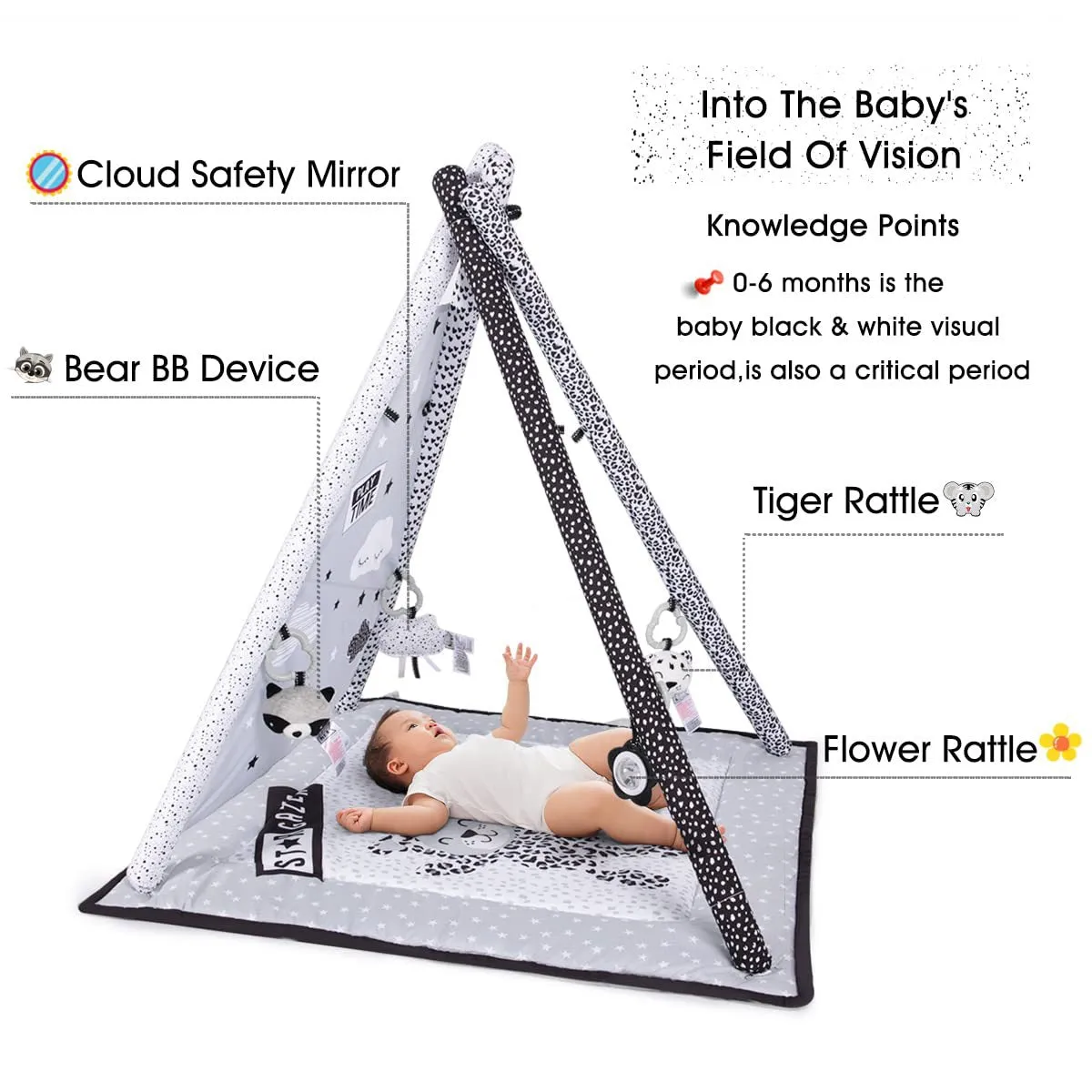 Export Baby Tent, Game Blanket