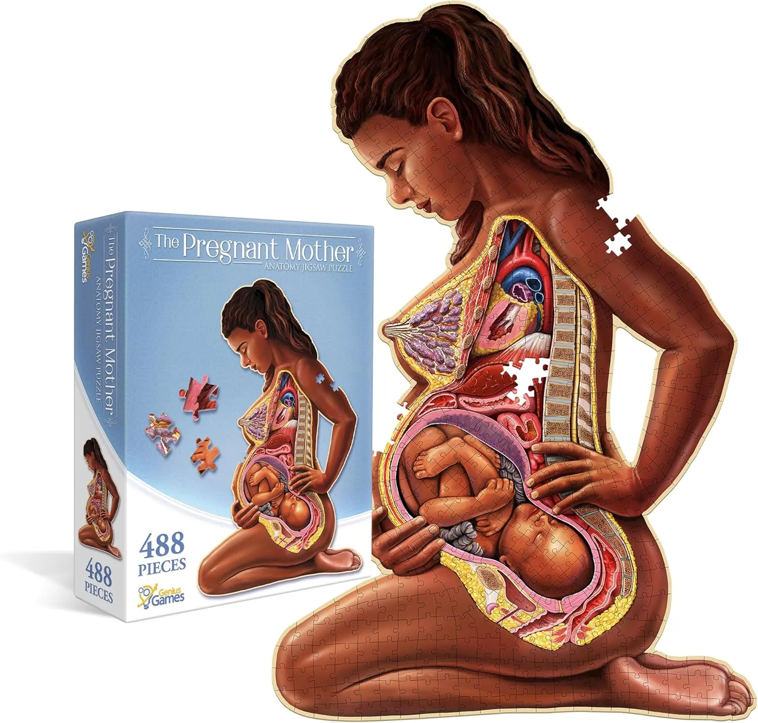 for Mothers, Educators & Medical Professionals Pregnant Mother Anatomy Jigsaw Puzzle | 488-Piece Science Accurate Adult Puzzle | Educational fatten burrow orient formerly and Entertaining 3ft x 2ft Poster Size Puzzle | Ideal Gift 