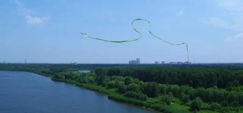 free shipping snake kite cobra kite flying line outdoor toys for adult kites bird kites eagle kite animal wei kite factory koi