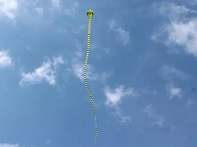 free shipping snake kite cobra kite flying line outdoor toys for adult kites bird kites eagle kite animal wei kite factory koi