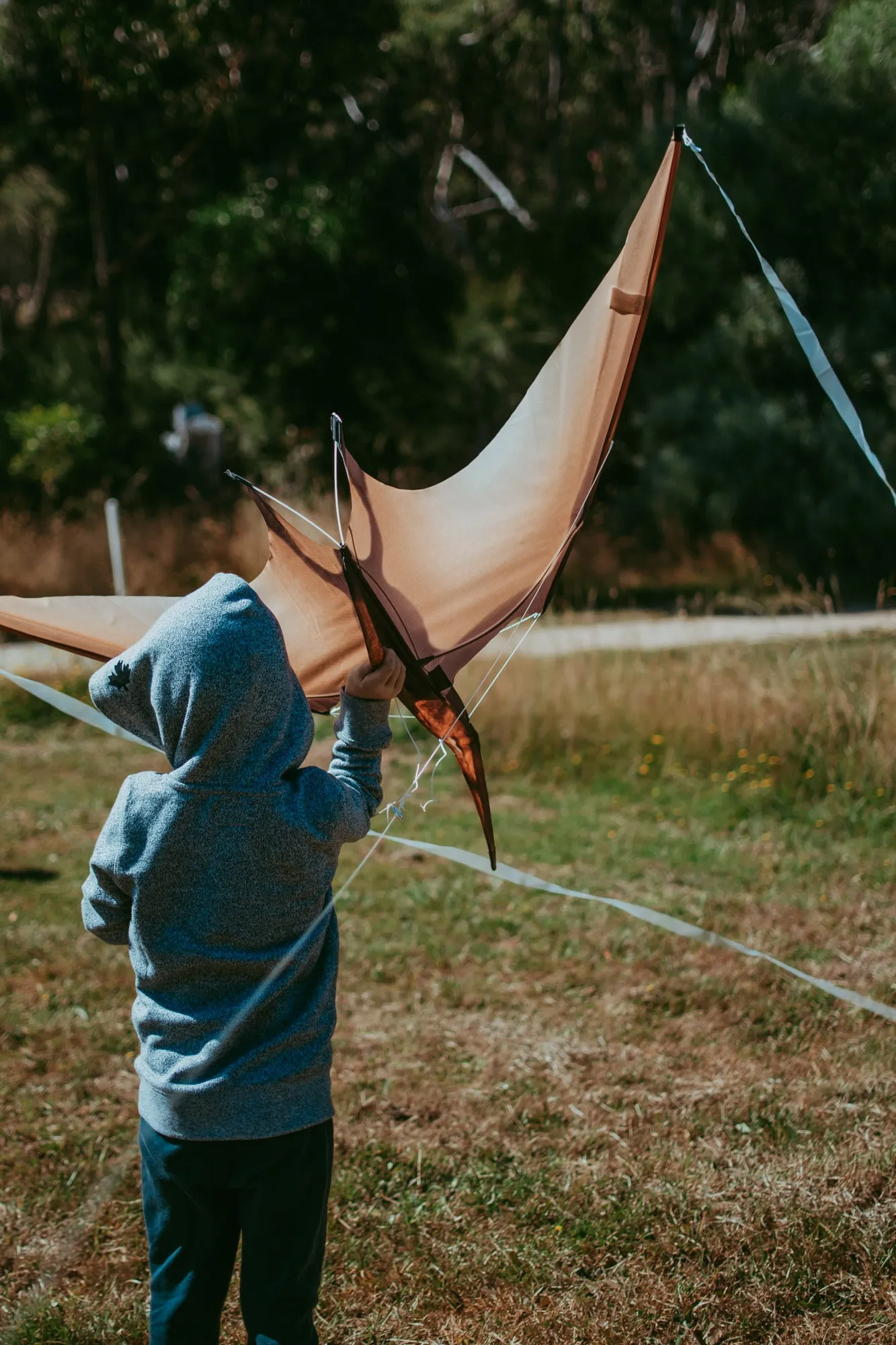 Jurassic Dino Kite Extra Large Pterodactyl 76 x 140cm By Brookite Dinosaur toy Outdoor Play Best Seller 3yrs  (Bulky Item)