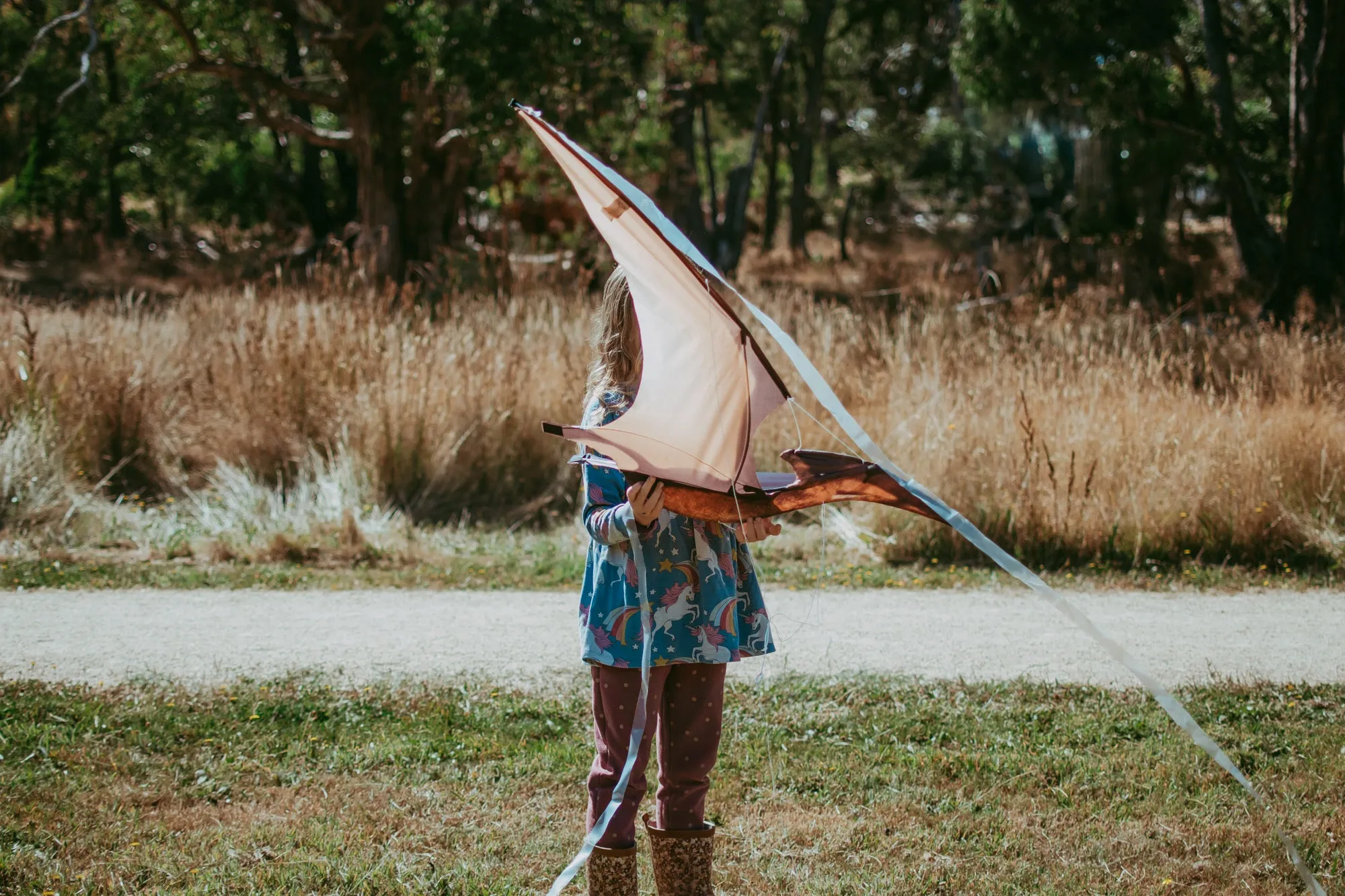 Jurassic Dino Kite Extra Large Pterodactyl 76 x 140cm By Brookite Dinosaur toy Outdoor Play Best Seller 3yrs  (Bulky Item)