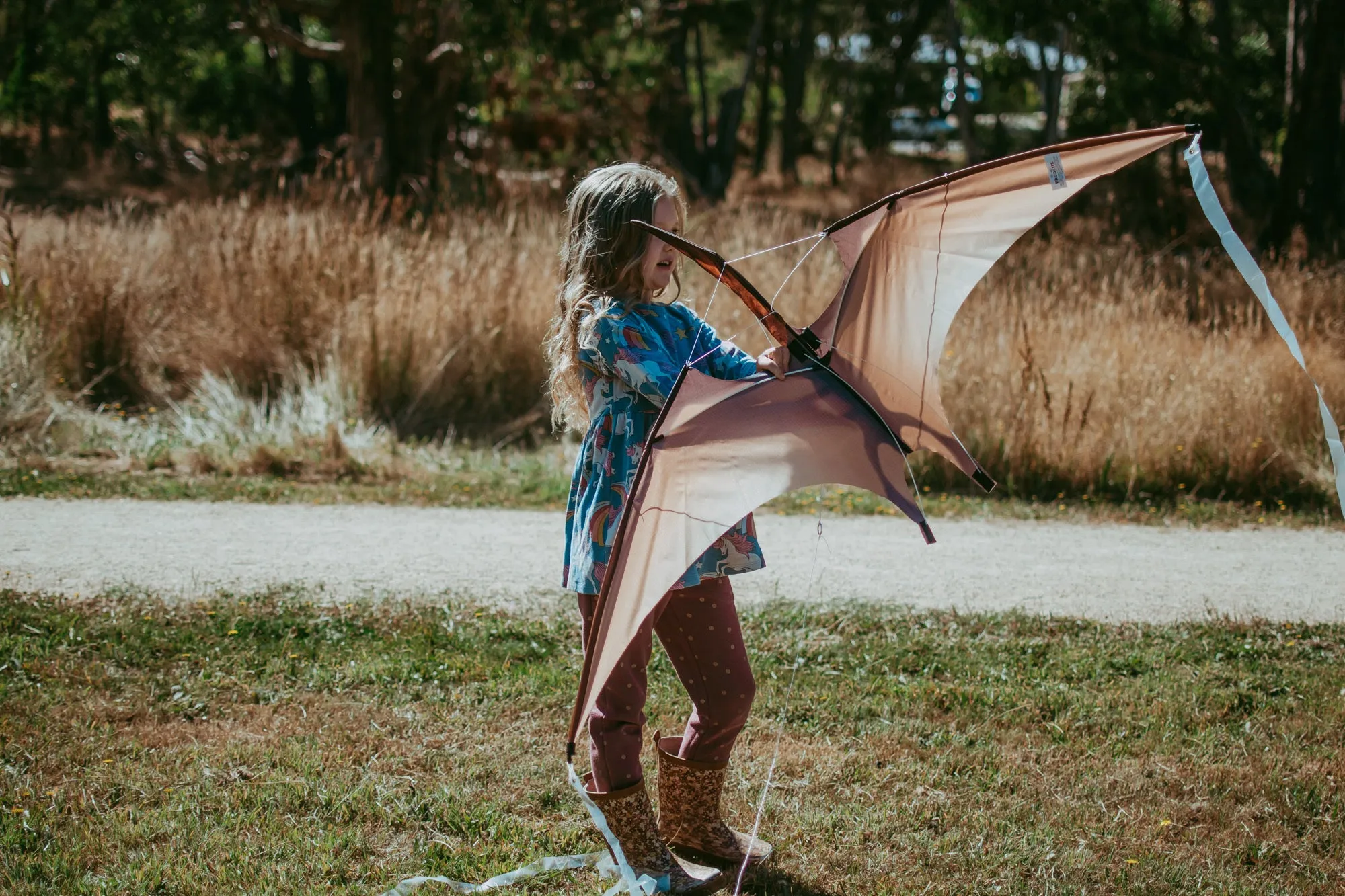 Jurassic Dino Kite Extra Large Pterodactyl 76 x 140cm By Brookite Dinosaur toy Outdoor Play Best Seller 3yrs  (Bulky Item)