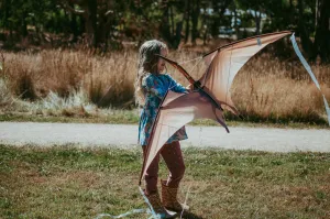 Jurassic Dino Kite Extra Large Pterodactyl 76 x 140cm By Brookite Dinosaur toy Outdoor Play Best Seller 3yrs  (Bulky Item)