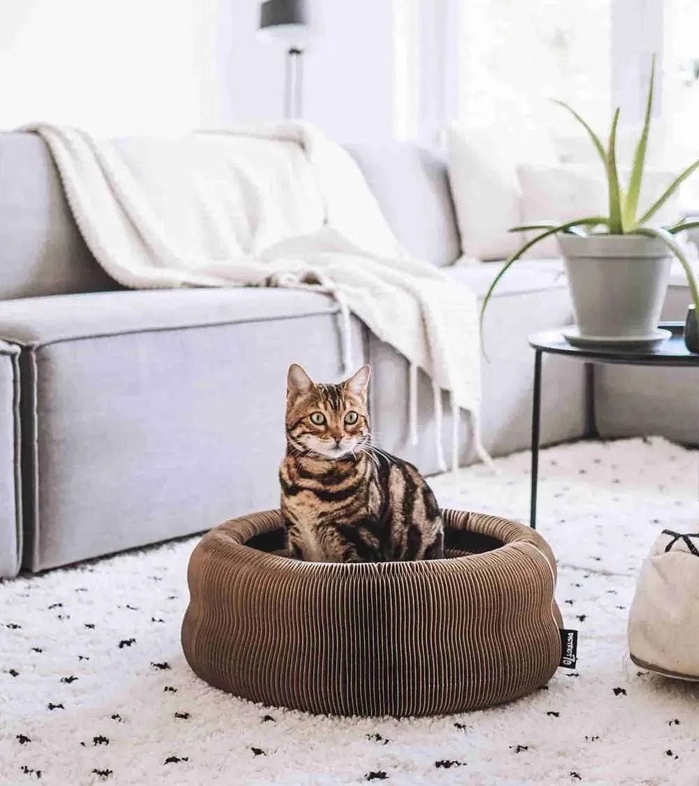 MAZE - 3 in 1 Collapsible Cardboard Cat Bed