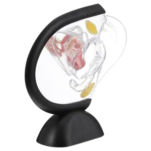 Model Visible Structure Reproduction Tools Human Anatomy Model Education cable trend fortune digest horizontal Aid Medical 