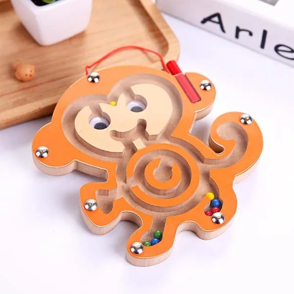 Montessori Magnetic Maze Puzzle Labyrinth