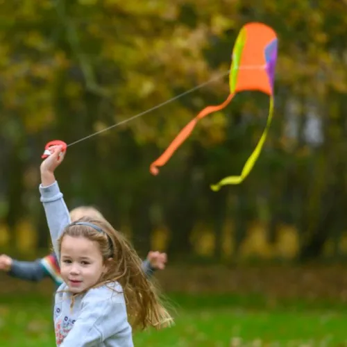 My World Pocket Kite