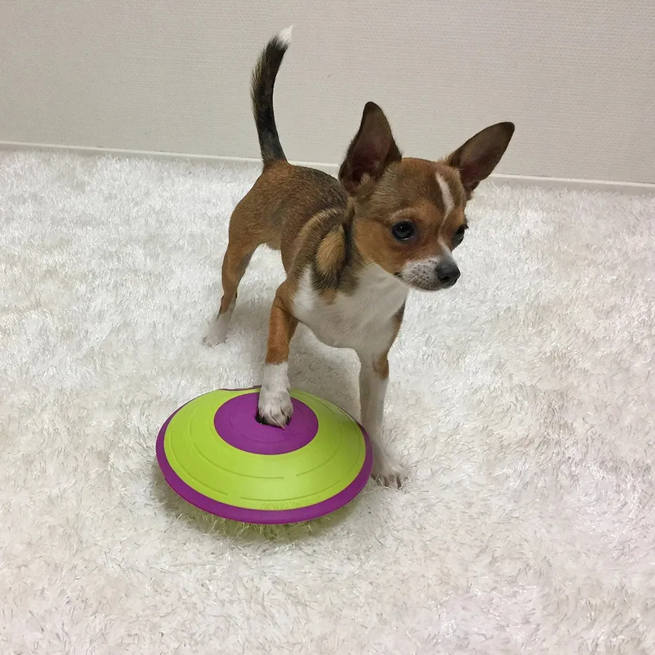 Outward Hound Dog Puzzle-Treat Maze : Level 2
