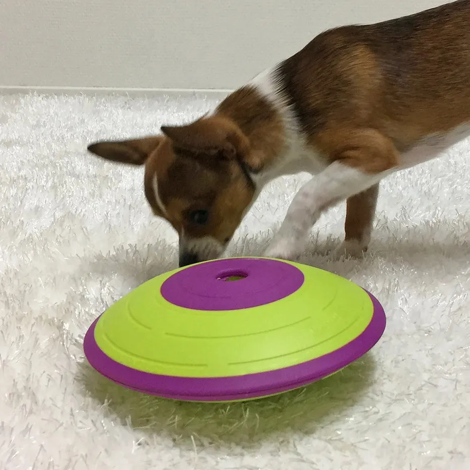 Outward Hound Dog Puzzle-Treat Maze : Level 2