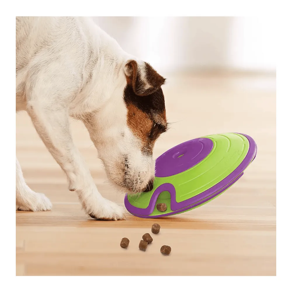 Outward Hound Dog Puzzle-Treat Maze : Level 2