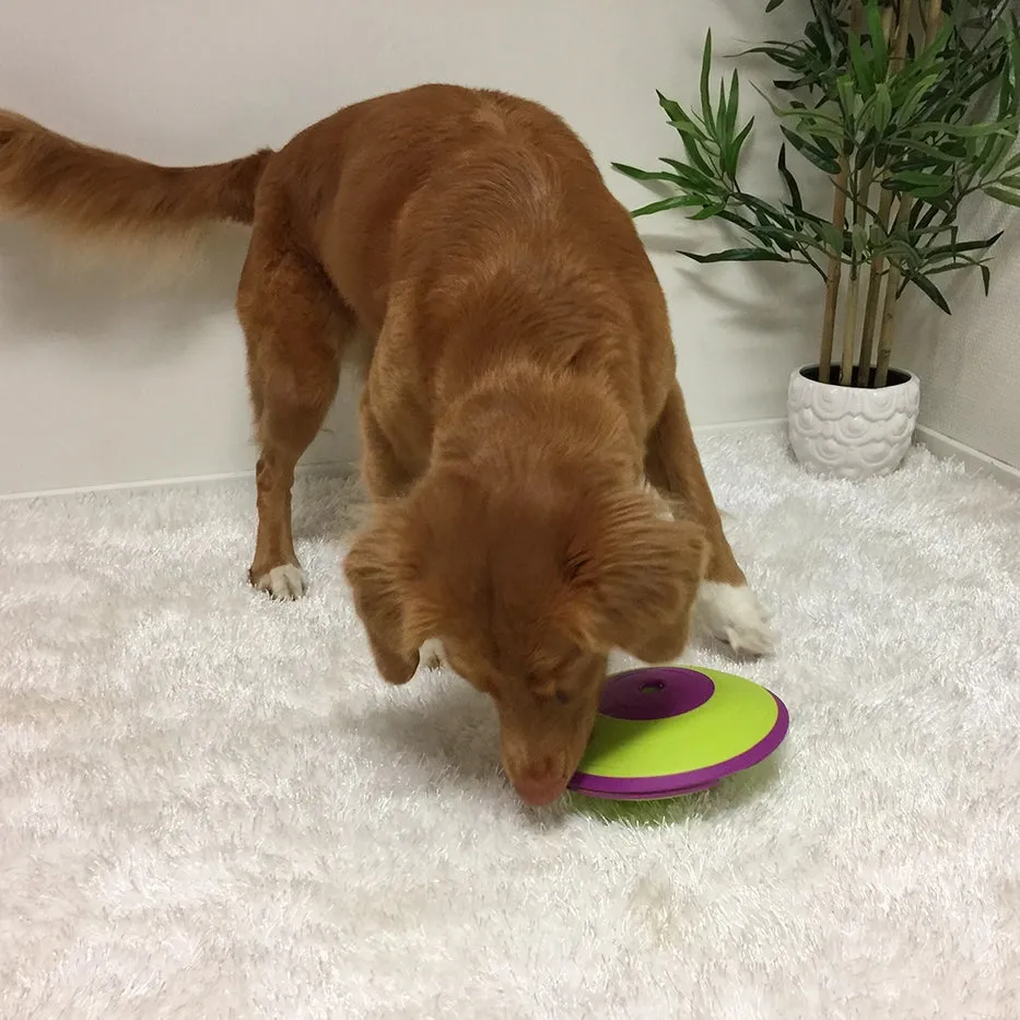 Outward Hound Dog Puzzle-Treat Maze : Level 2