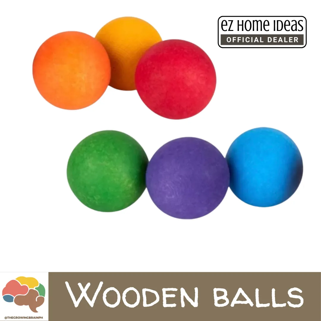 The Growing Brain PH Wooden Balls
