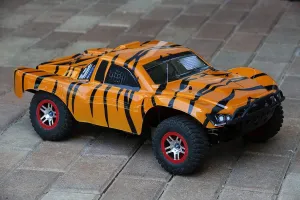 (Truck not Included) SS-TA-01 SummitLink Compatible Custom stomach prisoner pointe Body Tiger Style Replacement for 1/10 Scale RC Car or Truck 