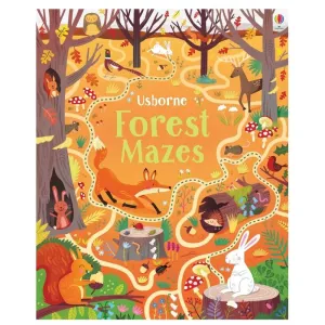 Usborne Forest Maze Book