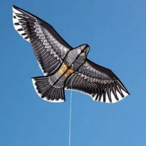 WINDSPEED Eagle Single String Kite