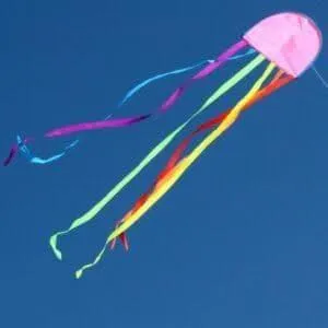 WINDSPEED Jellyfish Single String Kite