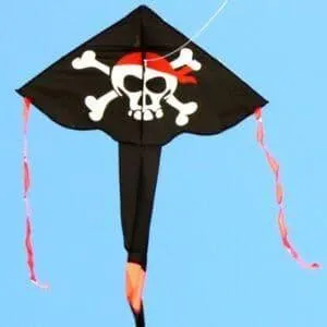 WINDSPEED Pirate Delta Single String Kite