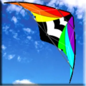 WINDSPEED Stuntmaster Sports Dual Control Stunt Kite