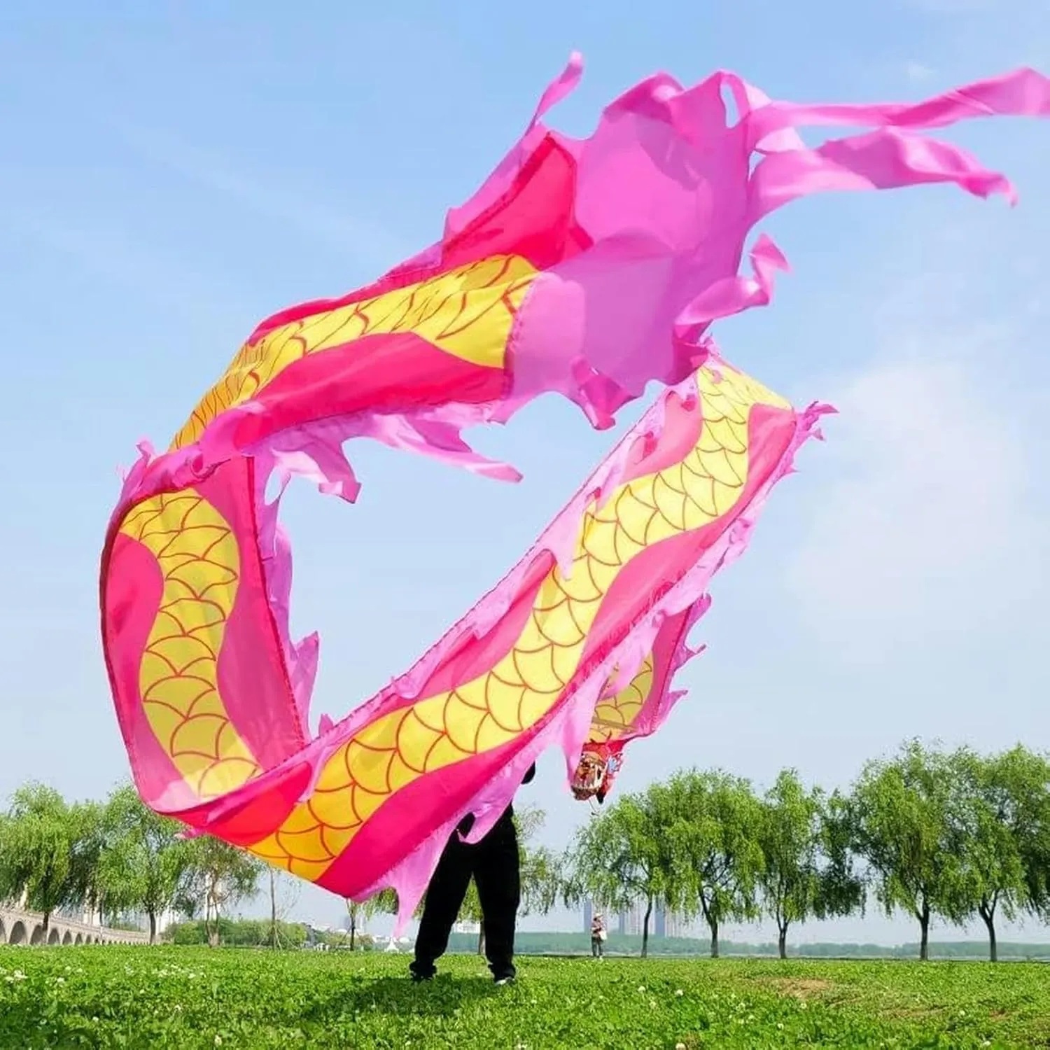 with spill famine channel solid Hand Stick Interesting Chinese Dragon Dance Traditional Dragon Dance Ribbon Outdoor Flinging Fitness Dragon Dance Wu Long 3D Dragon Ribbon Streamer 