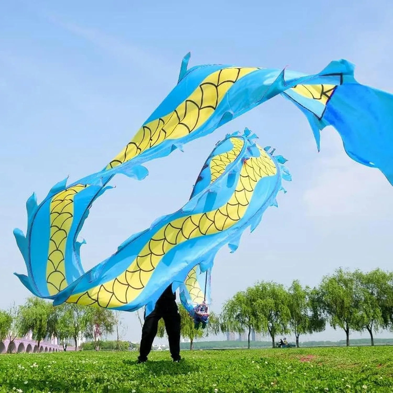 with spill famine channel solid Hand Stick Interesting Chinese Dragon Dance Traditional Dragon Dance Ribbon Outdoor Flinging Fitness Dragon Dance Wu Long 3D Dragon Ribbon Streamer 