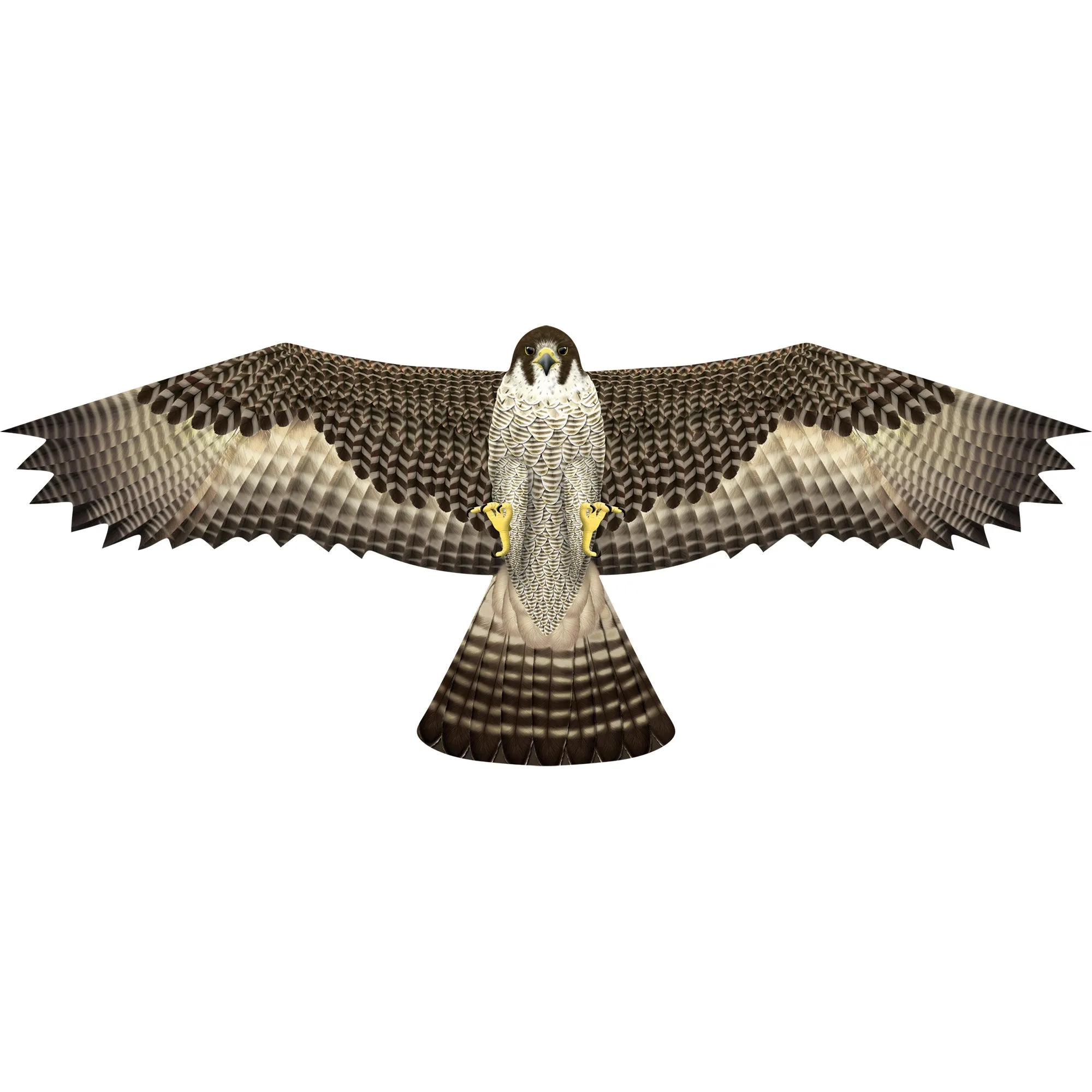 X Kites Birds of Prey Falcon Nylon Bird Kite, 50 Inches Wide