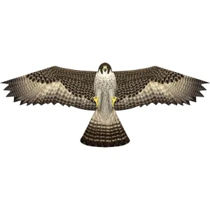X Kites Birds of Prey Falcon Nylon Bird Kite, 50 Inches Wide