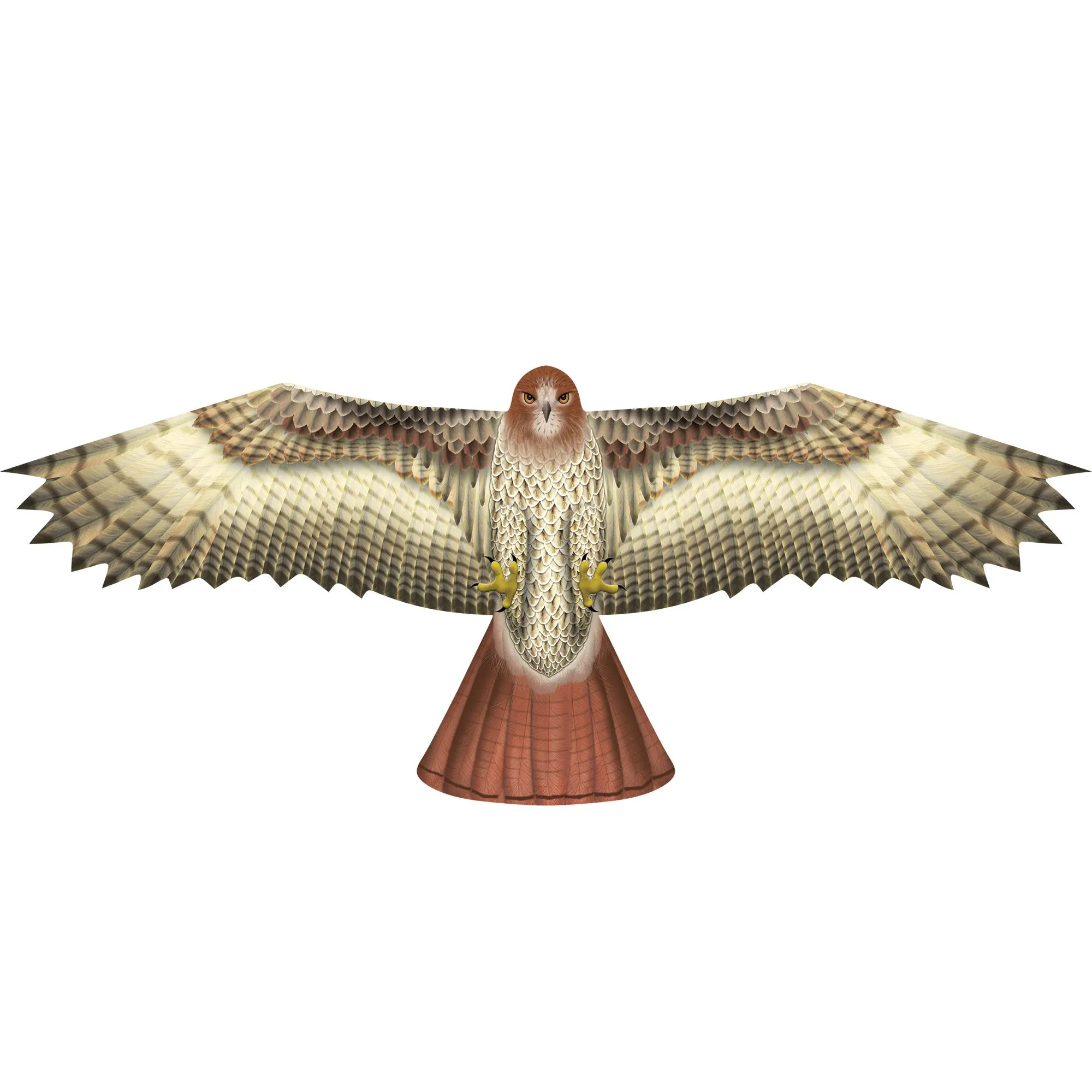 X Kites Birds of Prey Hawk Nylon Bird Kite, 51 Inches Wide